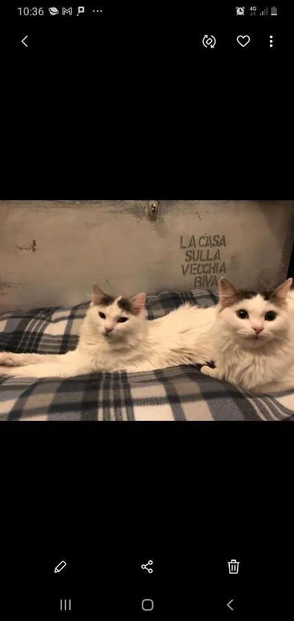 Appartamento La casa sulla vecchia riva Ferrara